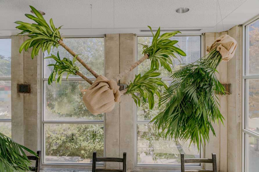 Over My Head 2025 installation